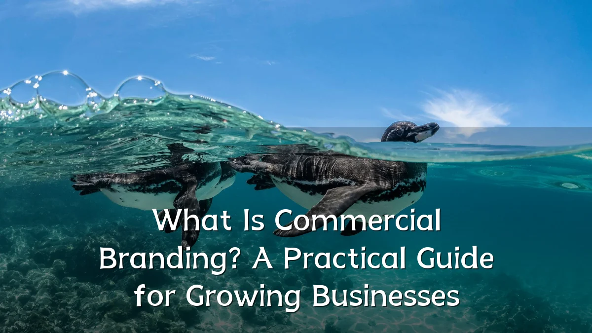What Is Commercial Branding? A Practical Guide for Growing Businesses