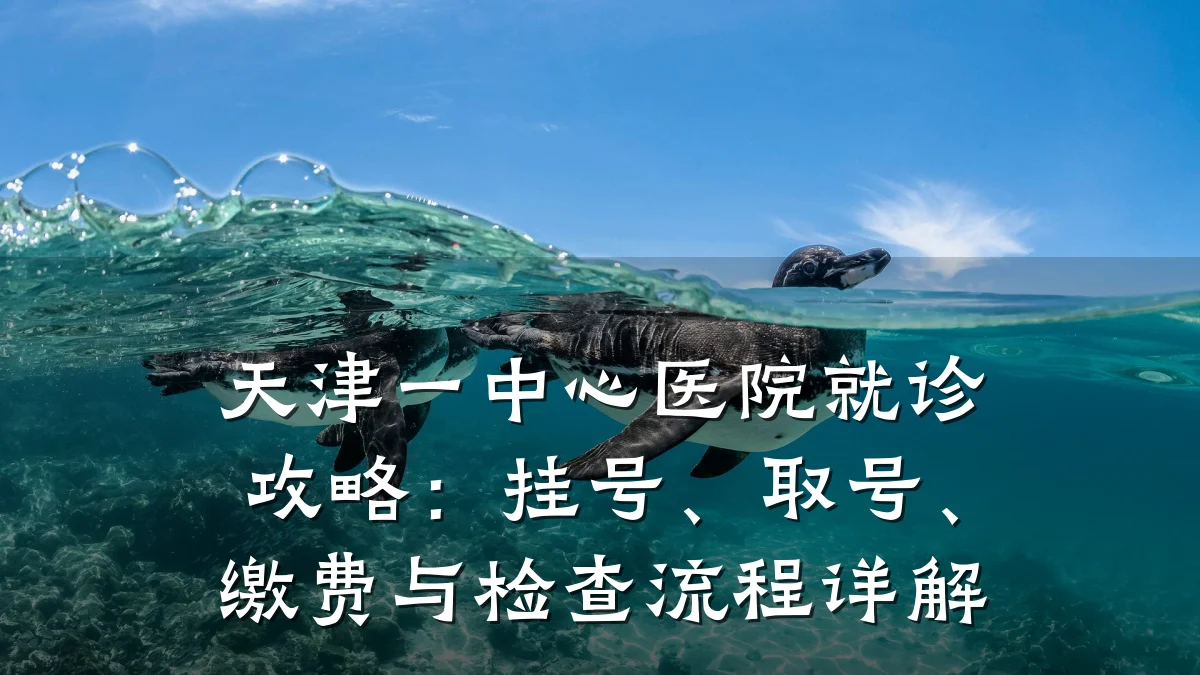 天津一中心医院就诊攻略:挂号、取号、缴费与检查流程详解