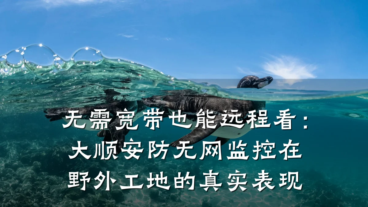无需宽带也能远程看：大顺安防无网监控在野外工地的真实表现