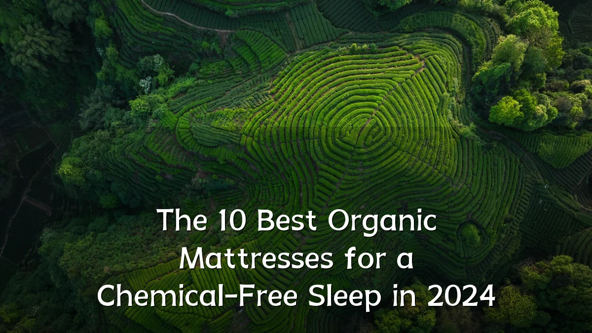 The 10 Best Organic Mattresses for a Chemical-Free Sleep in 2024