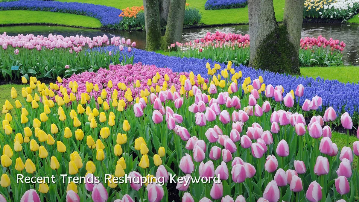 Recent Trends Reshaping Keyword