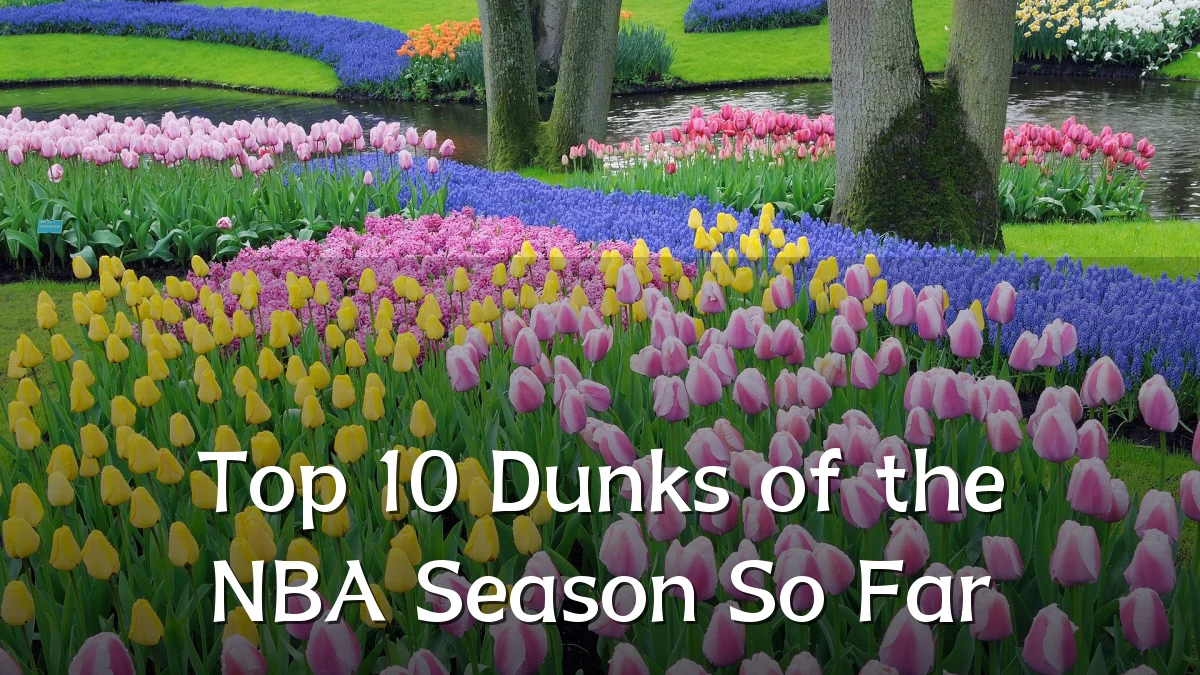 Top 10 Dunks of the NBA Season So Far