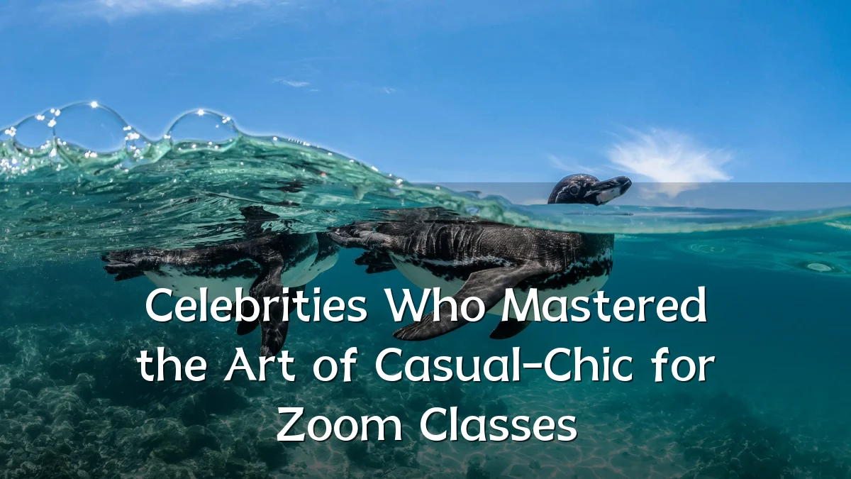 Celebrities Who Mastered the Art of Casual-Chic for Zoom Classes