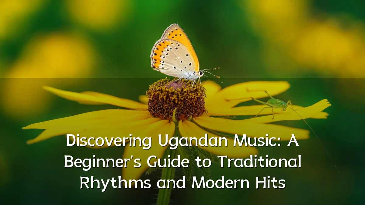 Discovering Ugandan Music: A Beginner's Guide to Traditional Rhythms and Modern Hits