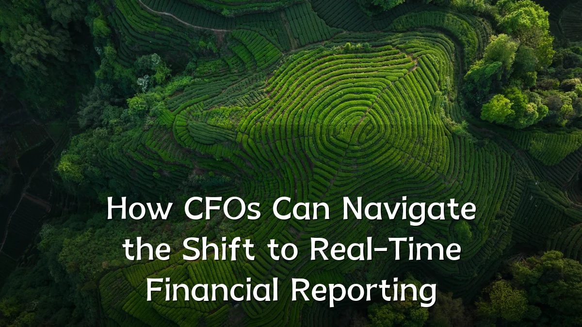 How CFOs Can Navigate the Shift to Real-Time Financial Reporting