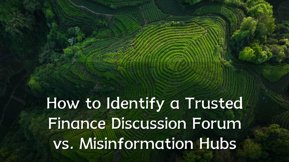 How to Identify a Trusted Finance Discussion Forum vs. Misinformation Hubs