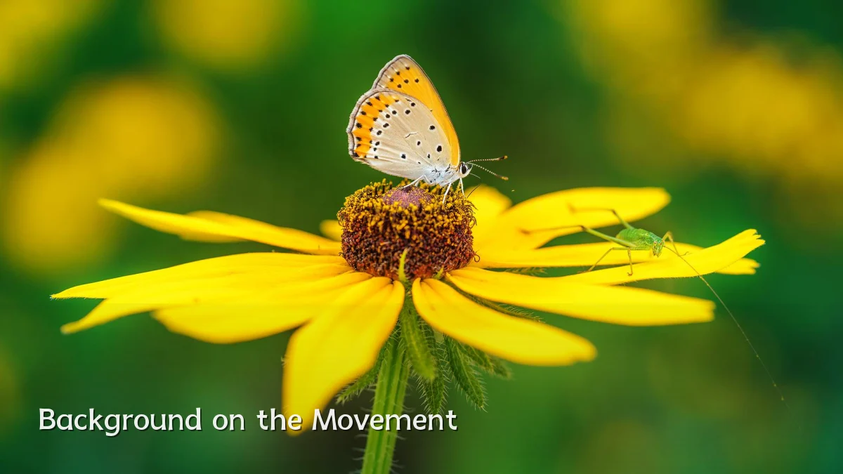 Background on the Movement