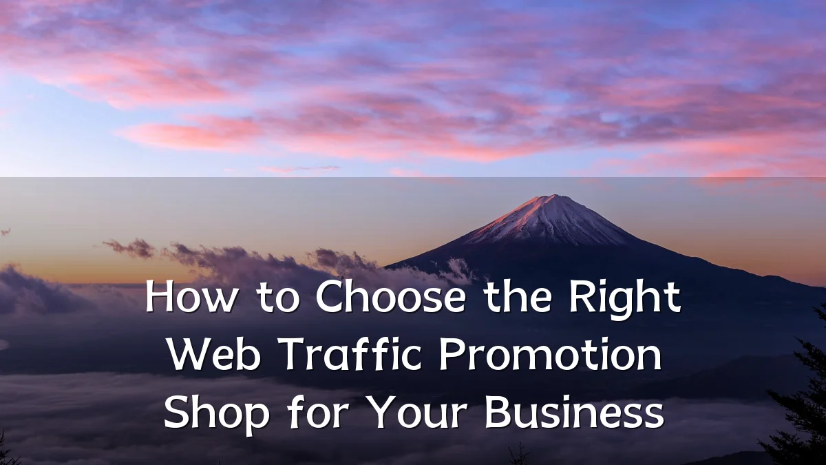 How to Choose the Right Web Traffic Promotion Shop for Your Business