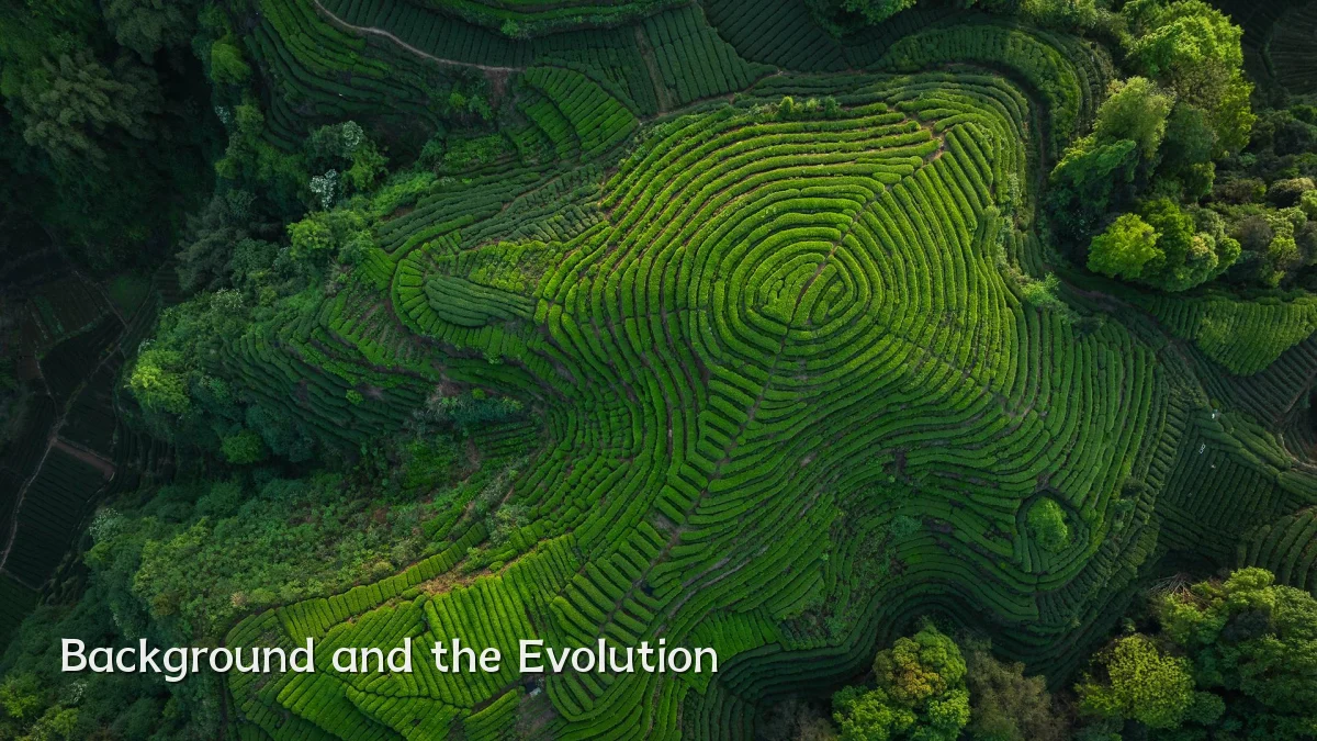 Background and the Evolution