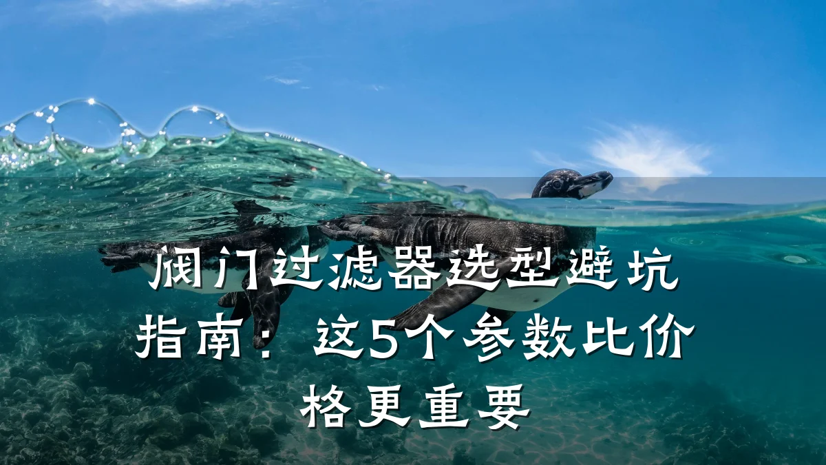 阀门过滤器选型避坑指南：这5个参数比价格更重要