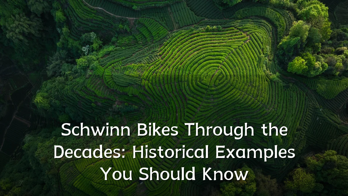 Schwinn Bikes Through the Decades: Historical Examples You Should Know