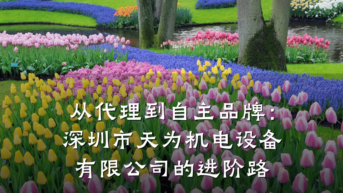 从代理到自主品牌：深圳市天为机电设备有限公司的进阶路