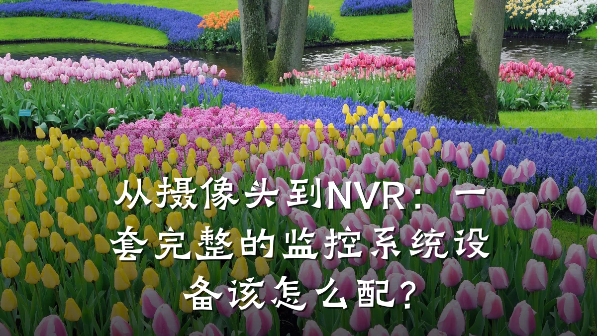 从摄像头到NVR:一套完整的监控系统设备该怎么配?