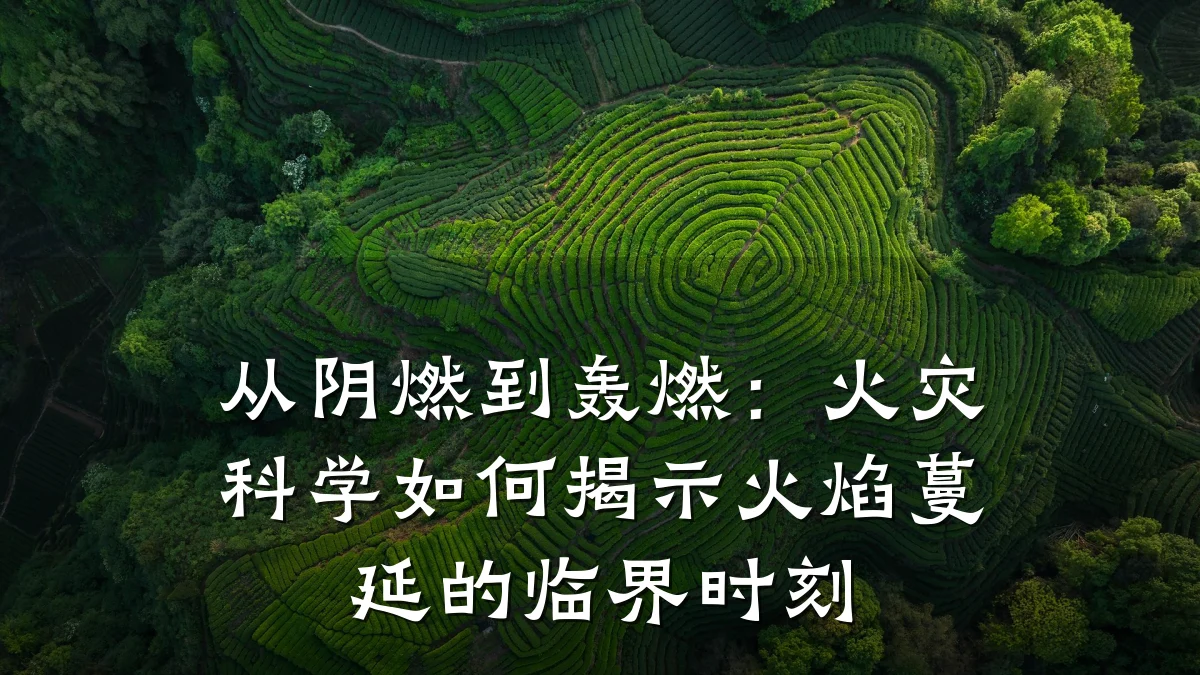 从阴燃到轰燃：火灾科学如何揭示火焰蔓延的临界时刻