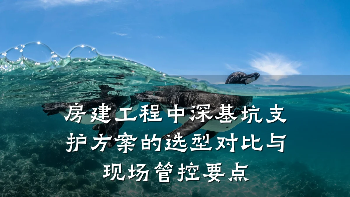 房建工程中深基坑支护方案的选型对比与现场管控要点