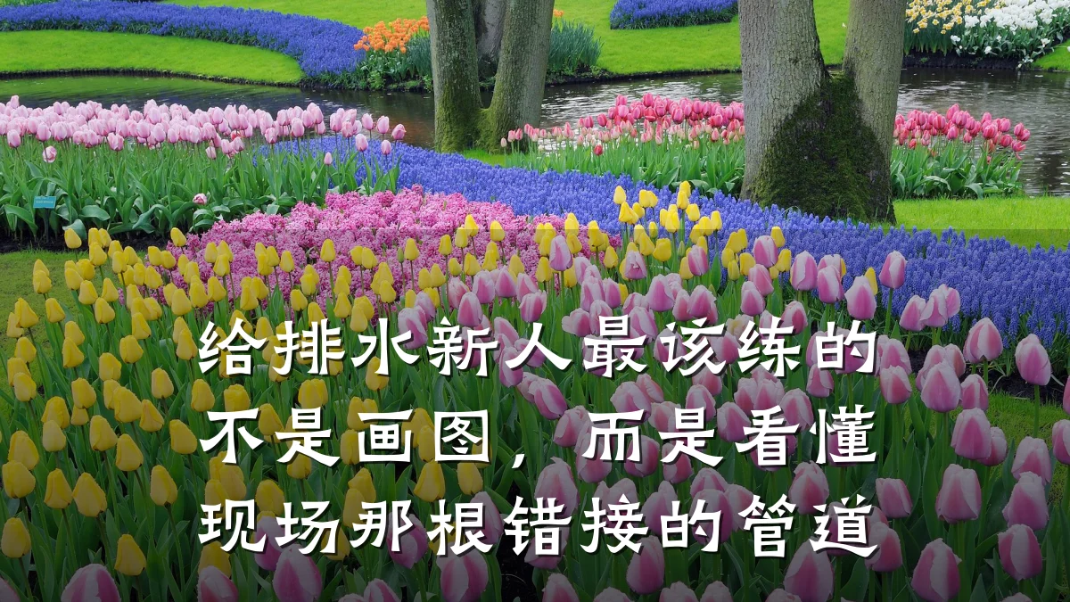 给排水新人最该练的不是画图，而是看懂现场那根错接的管道