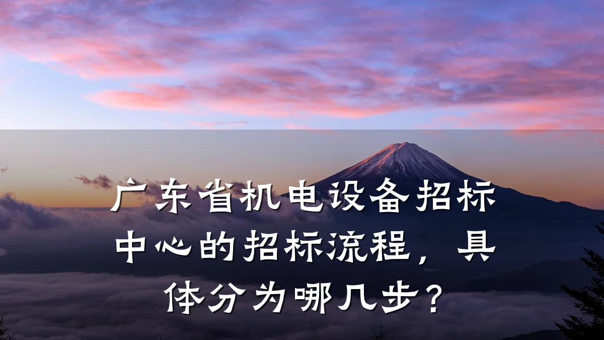 广东省机电设备招标中心的招标流程,具体分为哪几步?