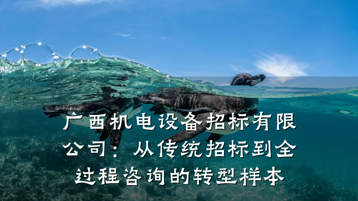 广西机电设备招标有限公司：从传统招标到全过程咨询的转型样本