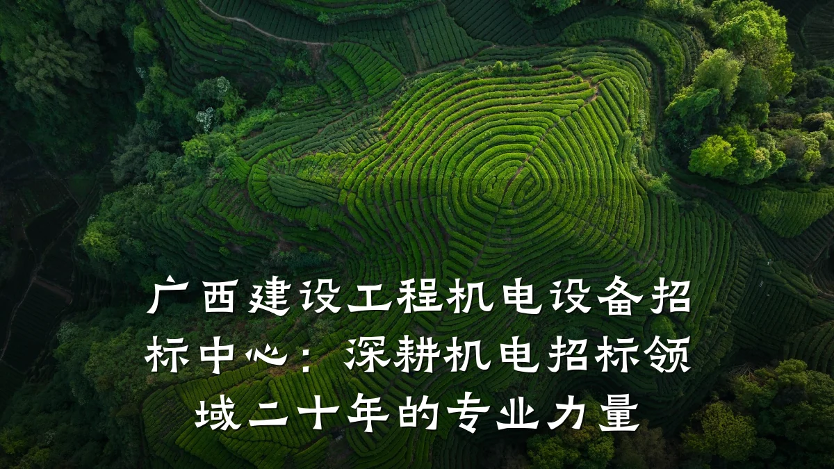 广西建设工程机电设备招标中心：深耕机电招标领域二十年的专业力量