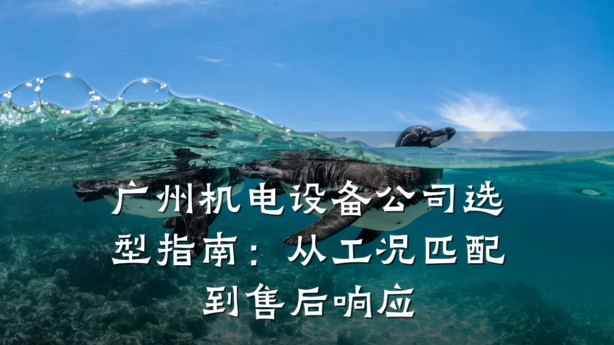 广州机电设备公司选型指南：从工况匹配到售后响应