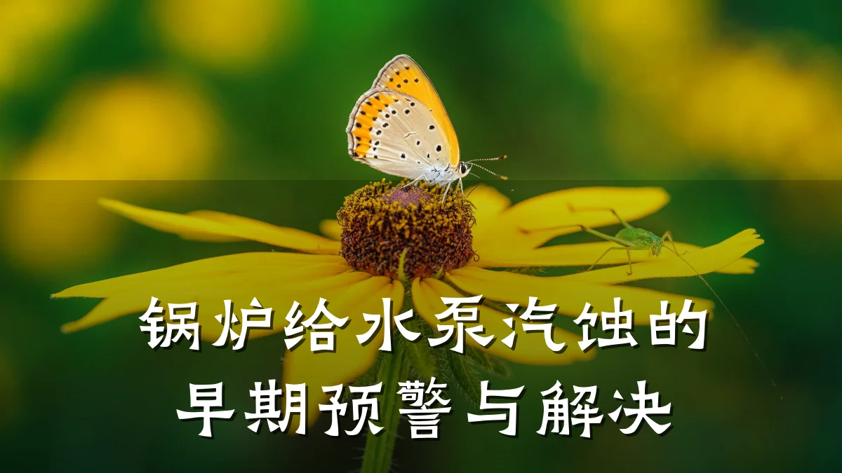 锅炉给水泵汽蚀的早期预警与解决