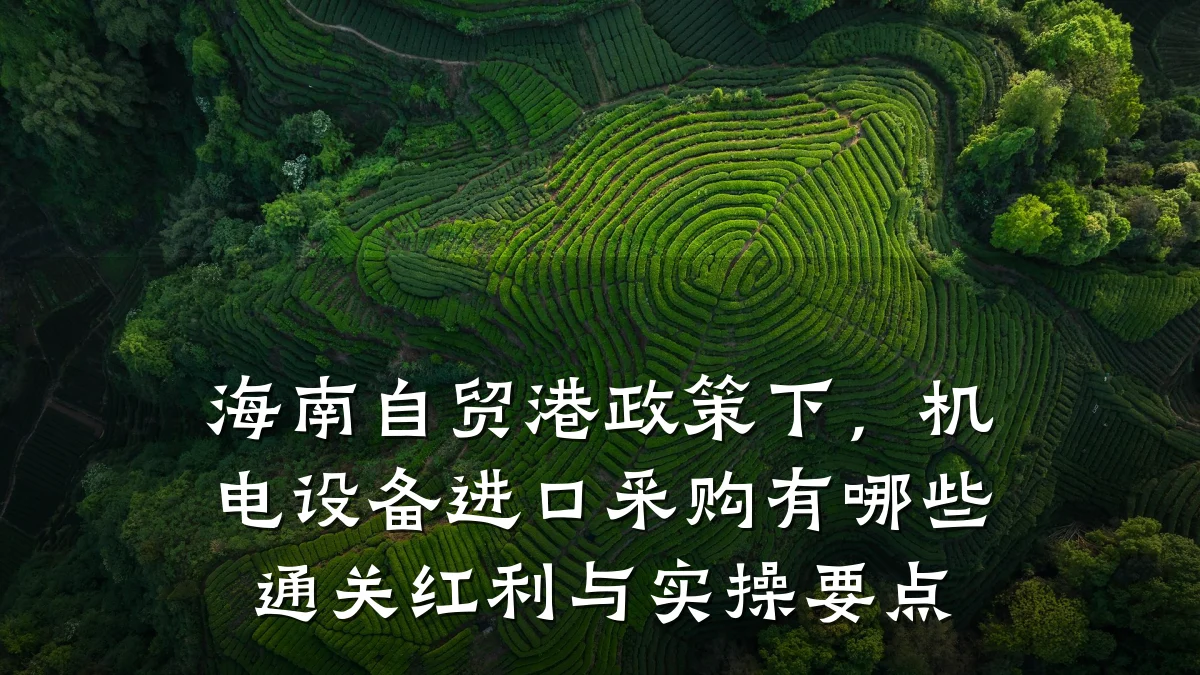 海南自贸港政策下，机电设备进口采购有哪些通关红利与实操要点