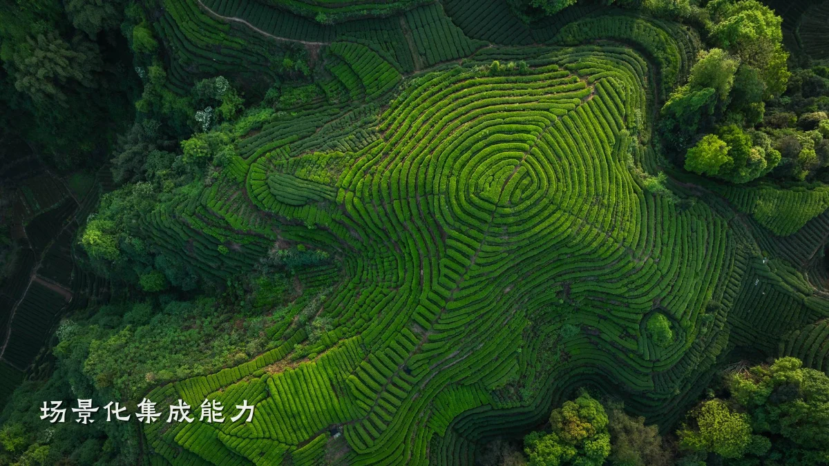 场景化集成能力