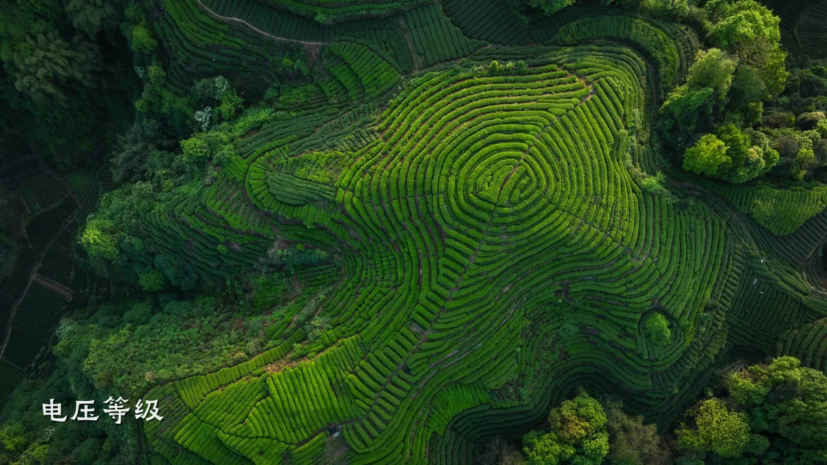 电压等级