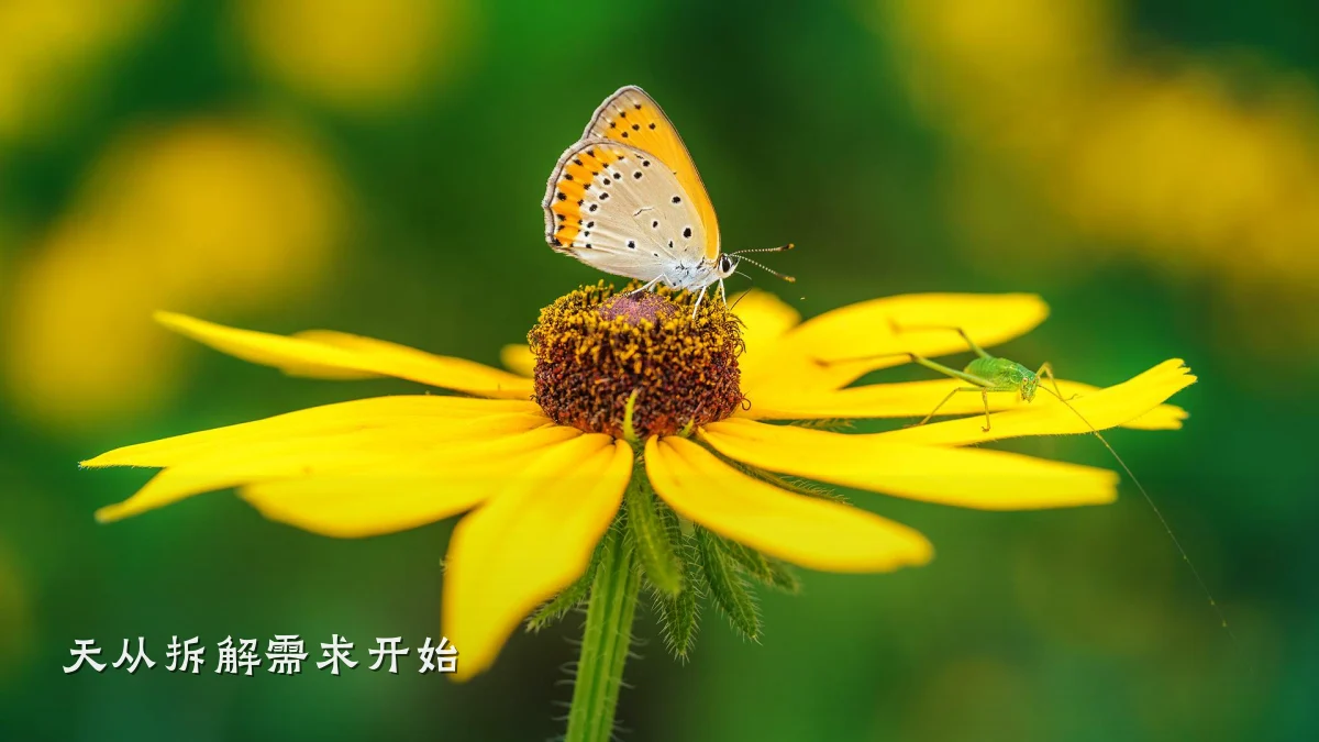 天从拆解需求开始