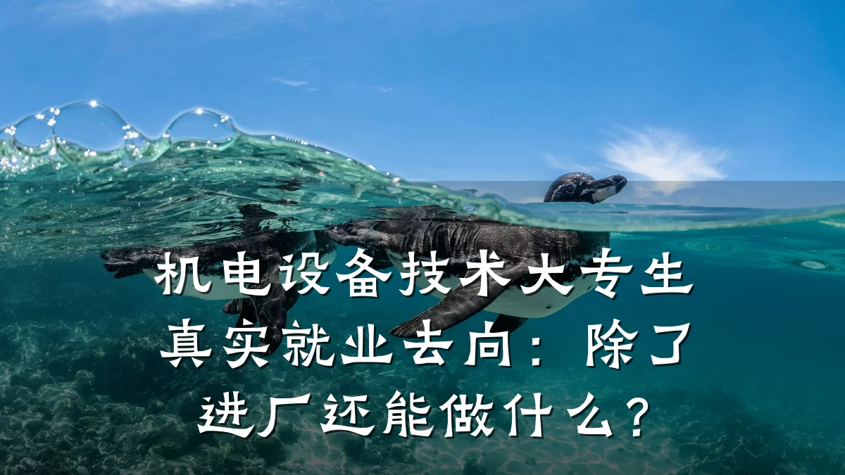 机电设备技术大专生真实就业去向：除了进厂还能做什么？