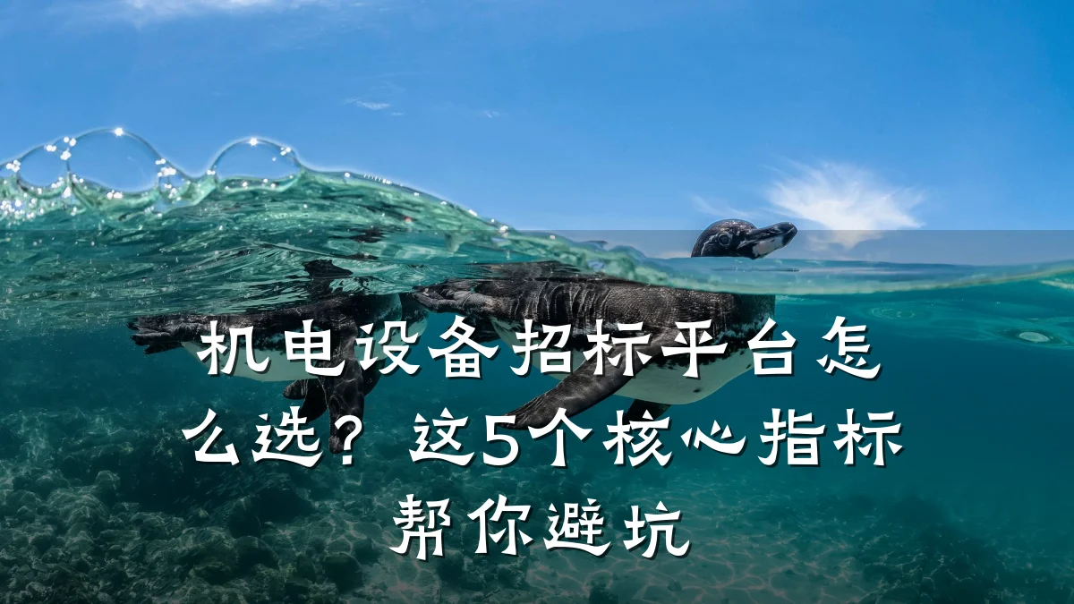 机电设备招标平台怎么选？这5个核心指标帮你避坑