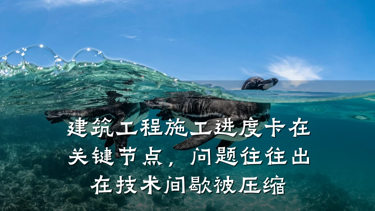 建筑工程施工进度卡在关键节点，问题往往出在技术间歇被压缩