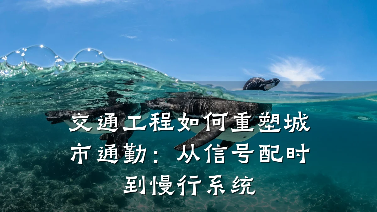 交通工程如何重塑城市通勤：从信号配时到慢行系统