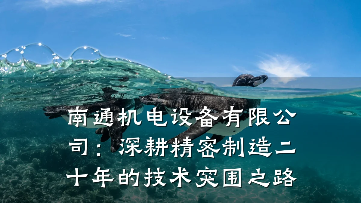 南通机电设备有限公司:深耕精密制造二十年的技术突围之路