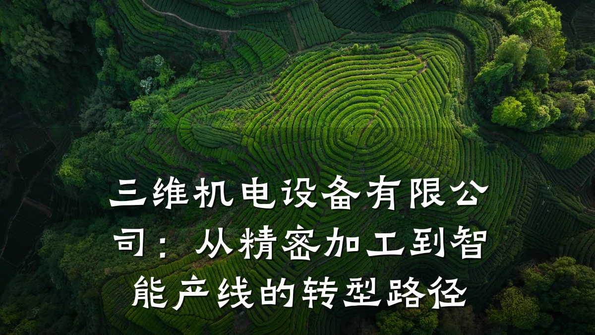 三维机电设备有限公司：从精密加工到智能产线的转型路径