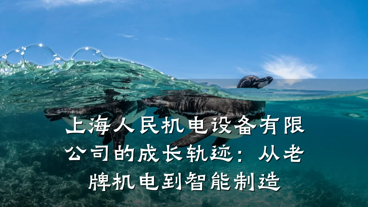 上海人民机电设备有限公司的成长轨迹：从老牌机电到智能制造