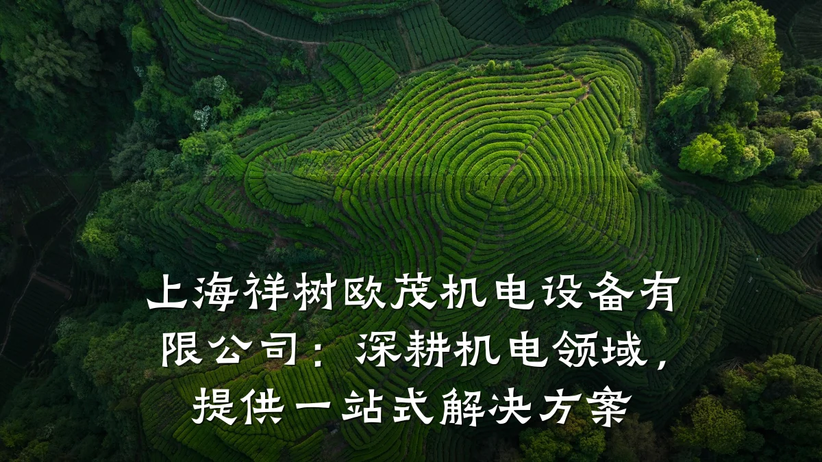 上海祥树欧茂机电设备有限公司：深耕机电领域，提供一站式解决方案