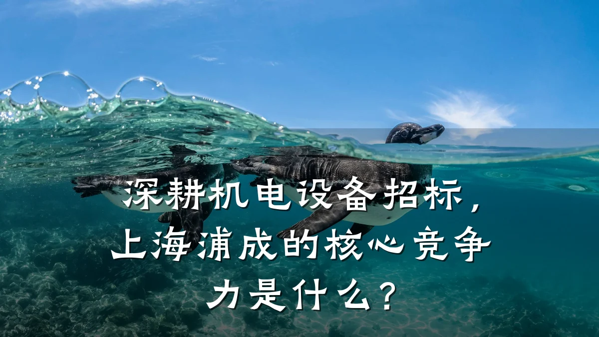 深耕机电设备招标，上海浦成的核心竞争力是什么？