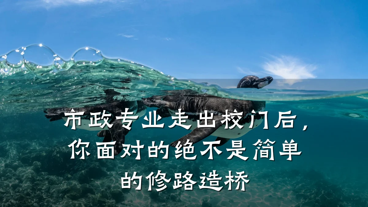 市政专业走出校门后，你面对的绝不是简单的修路造桥