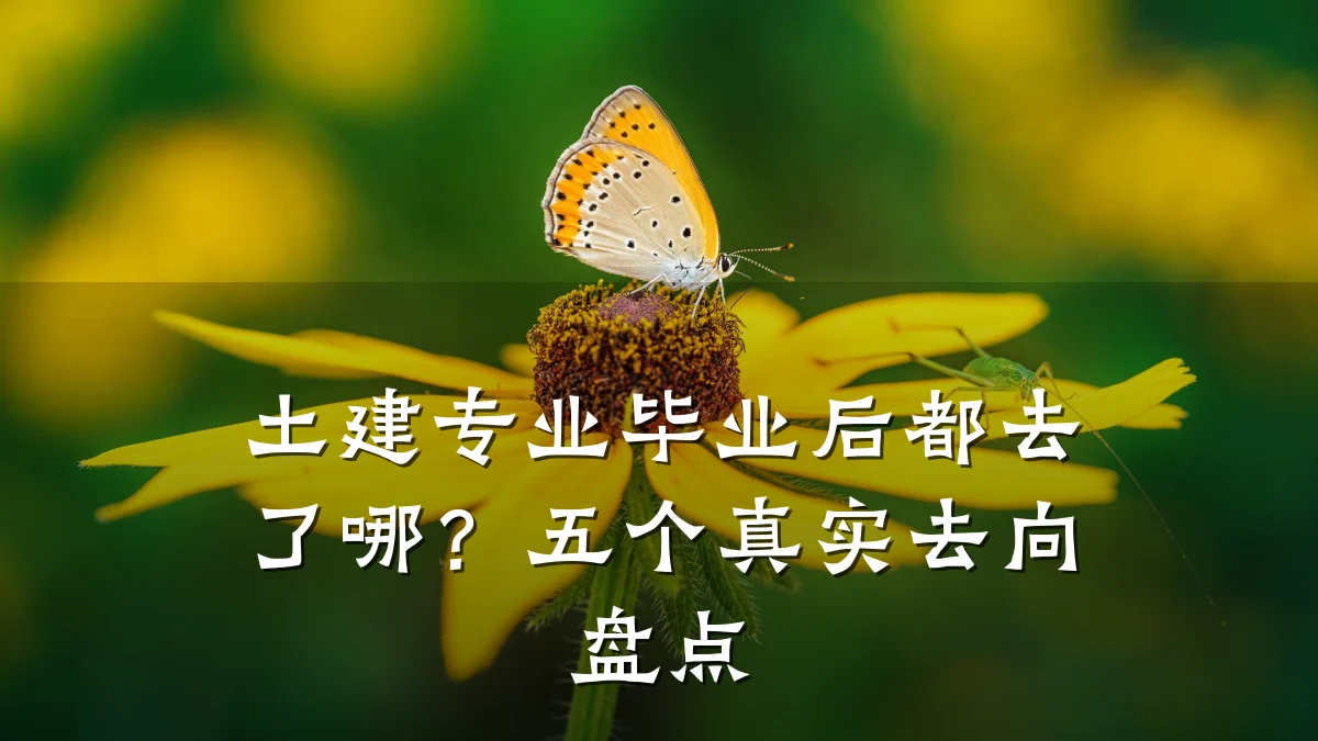 土建专业毕业后都去了哪？五个真实去向盘点
