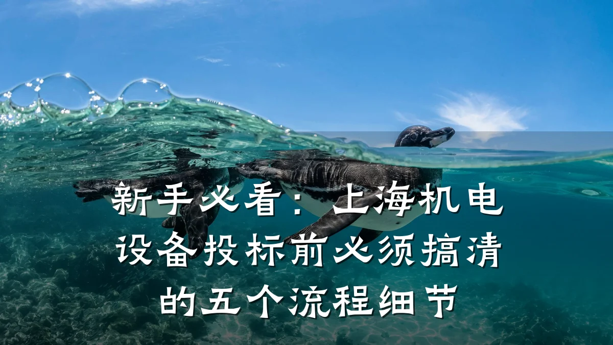 新手必看：上海机电设备投标前必须搞清的五个流程细节