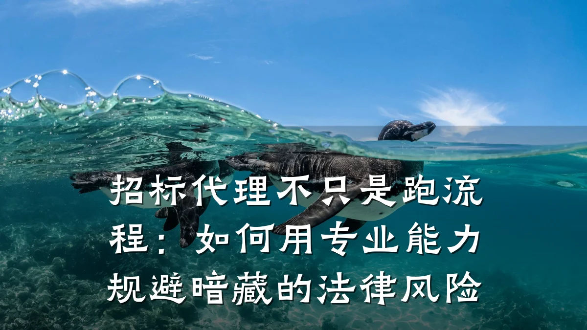 招标代理不只是跑流程：如何用专业能力规避暗藏的法律风险