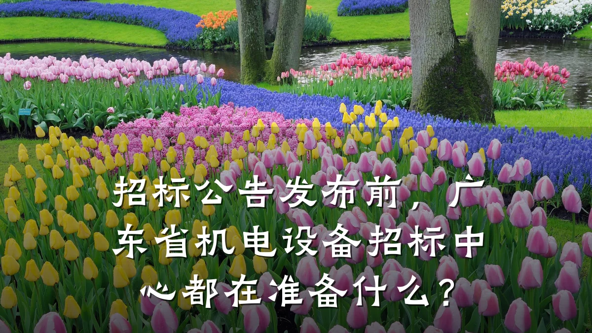 招标公告发布前，广东省机电设备招标中心都在准备什么？