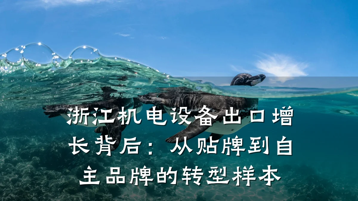 浙江机电设备出口增长背后：从贴牌到自主品牌的转型样本