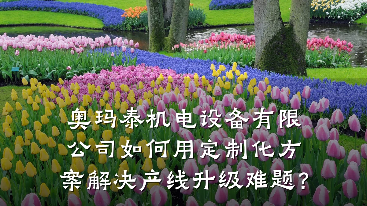 奥玛泰机电设备有限公司如何用定制化方案解决产线升级难题？