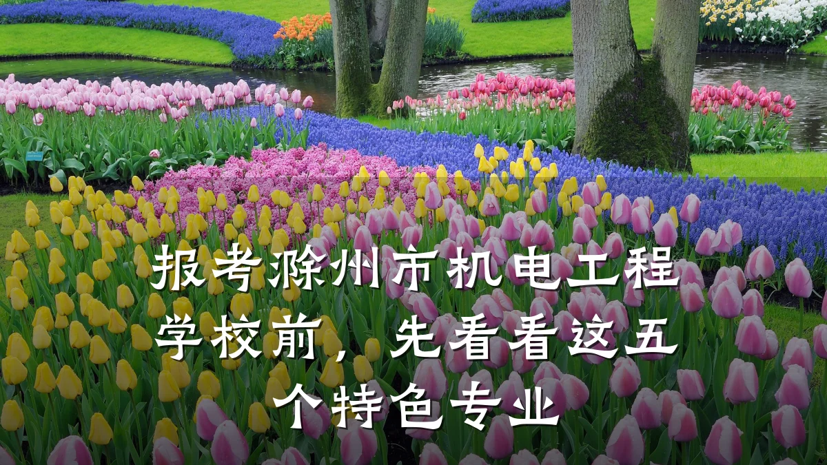 报考滁州市机电工程学校前，先看看这五个特色专业