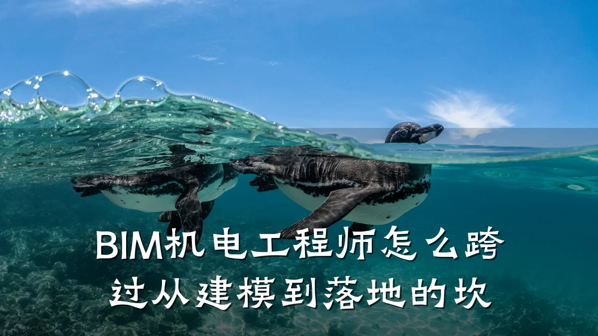 BIM机电工程师怎么跨过从建模到落地的坎