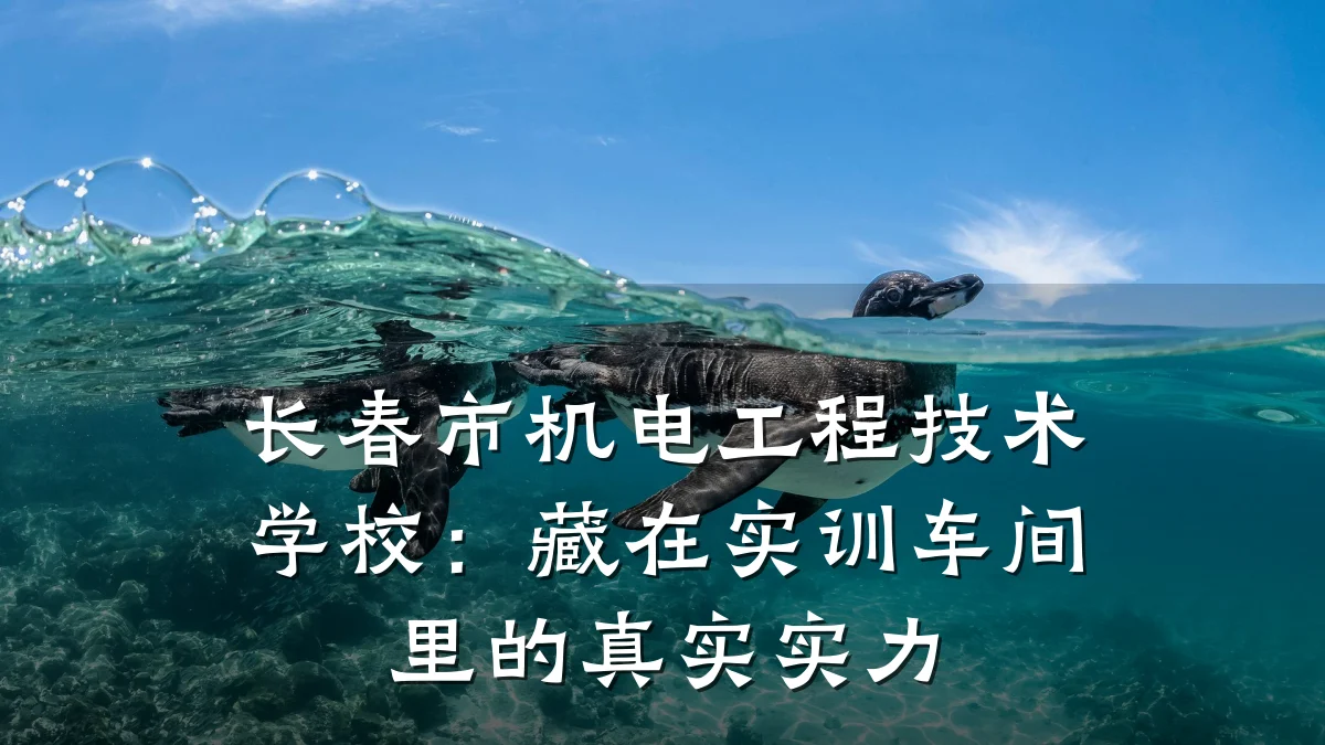 长春市机电工程技术学校：藏在实训车间里的真实实力