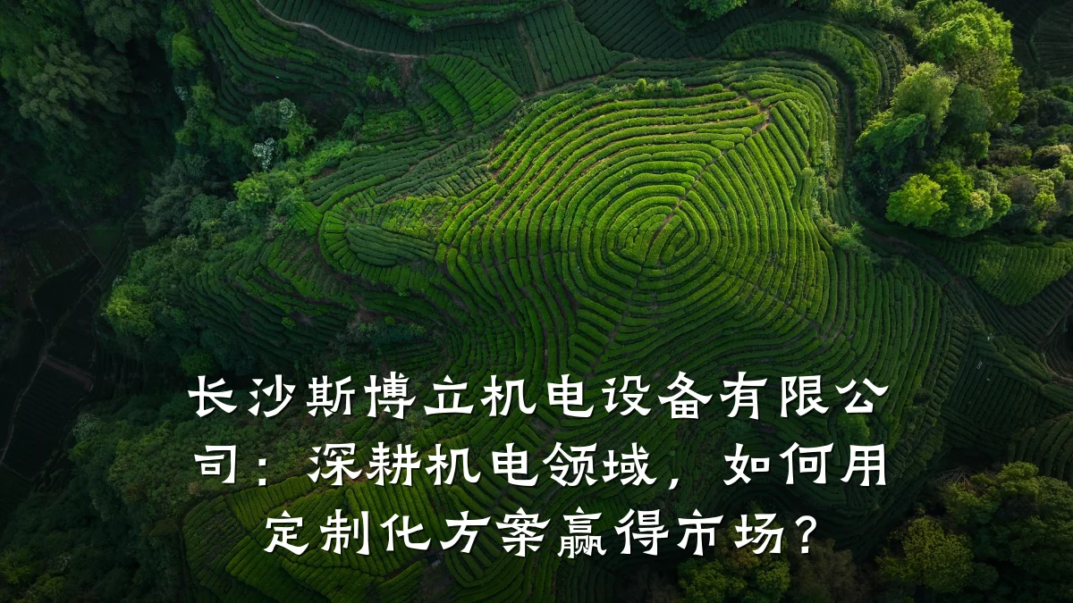 长沙斯博立机电设备有限公司：深耕机电领域，如何用定制化方案赢得市场？