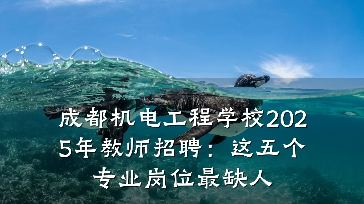 成都机电工程学校2025年教师招聘：这五个专业岗位最缺人